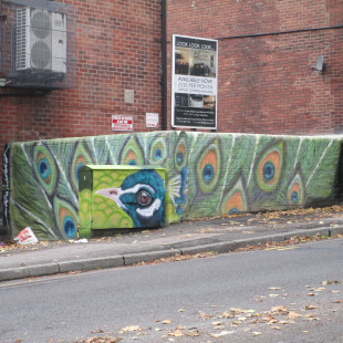 Peacock Street Art